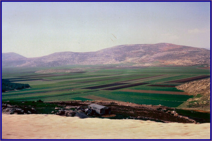 Beautiful fields on the road to Nazareth